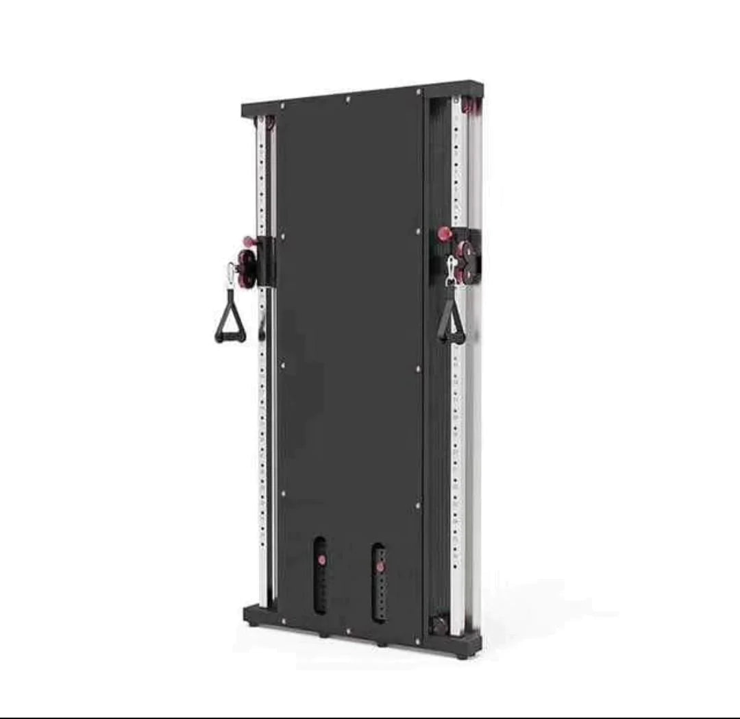Wall Mount Functional Trainer XRWF13 for home gym in Vancouver, adjustable pulley for versatile workouts.